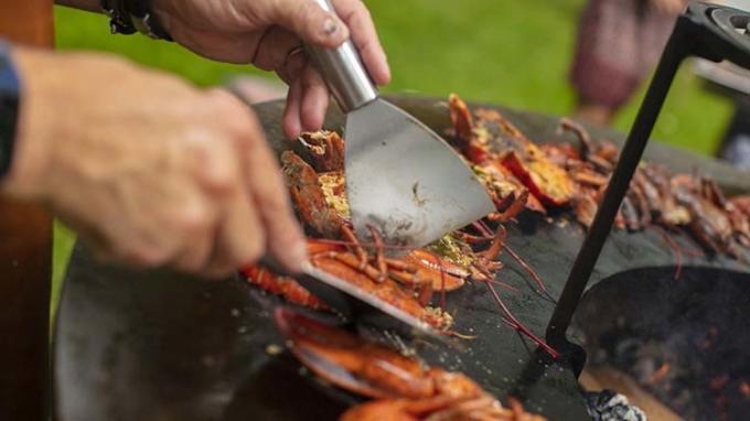 정원 파티 소풍 동안 BBQ 그릴 다기능 화재 원목 소각 무쇠 플랜차 야외 요리